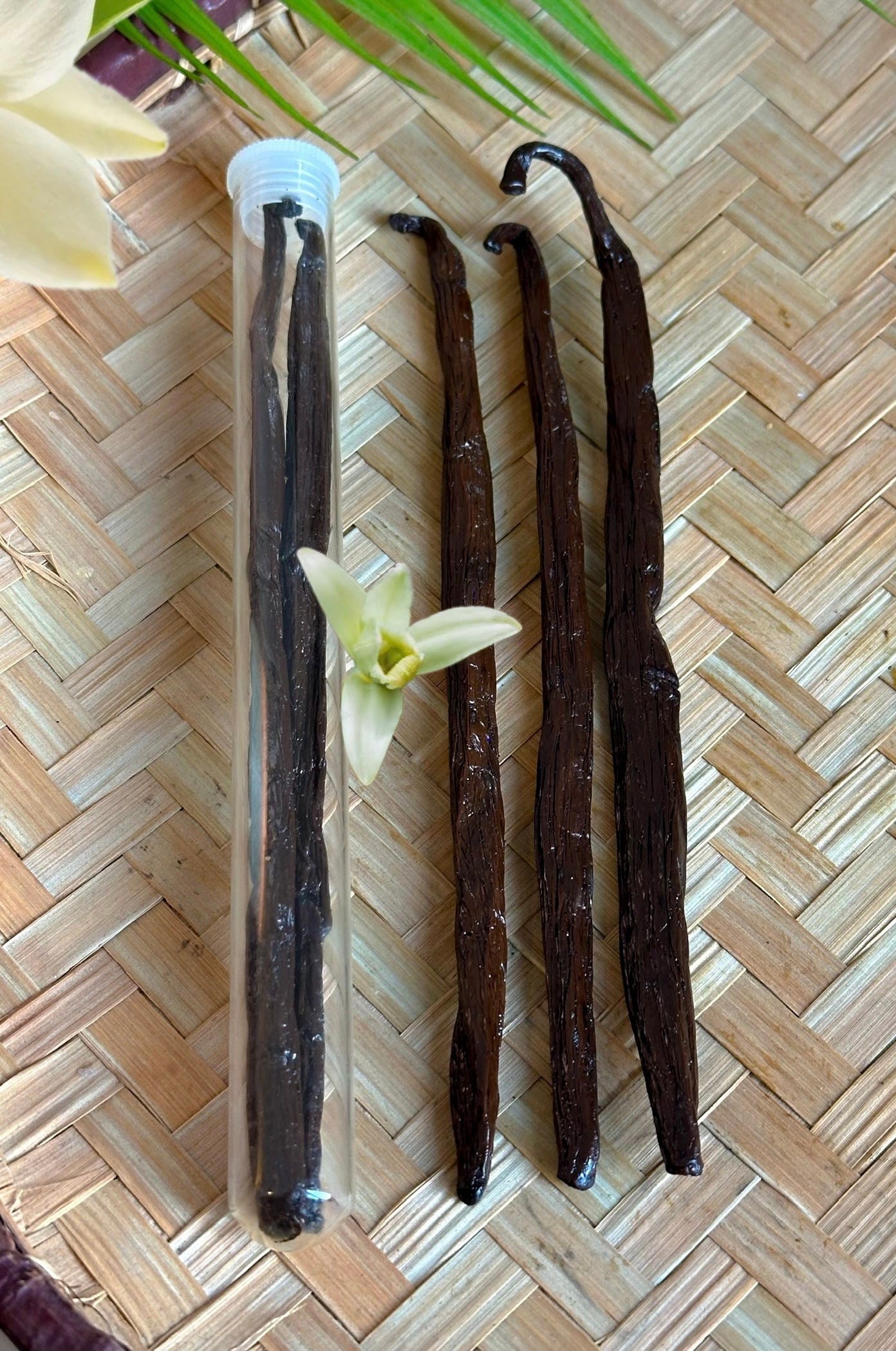 11 gousses de vanille